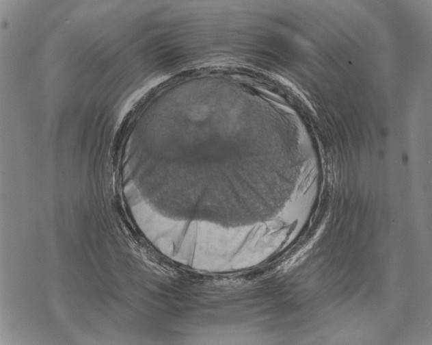 X0000075811117200610151423