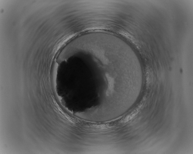 X0000075811121200610151423