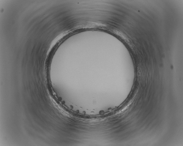 X0000075811122200610151423