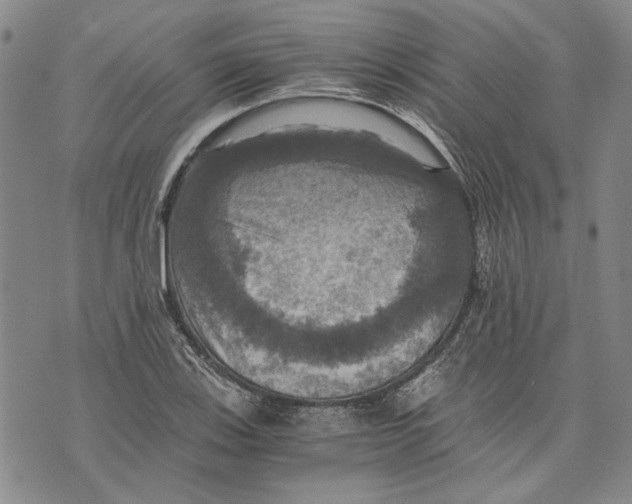 X0000075811123200610151423