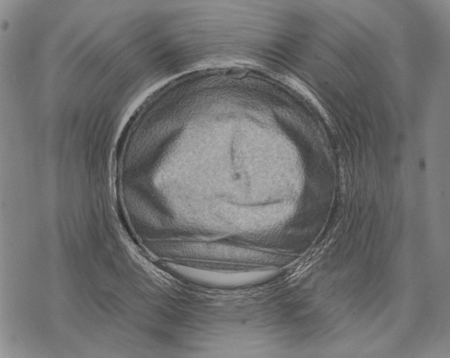 X0000075811124200610151423