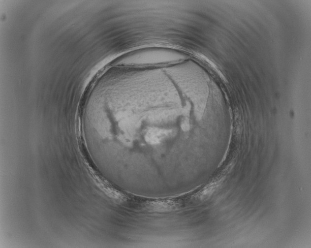 X0000075811125200610151423