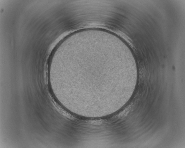 X0000075811126200610151423