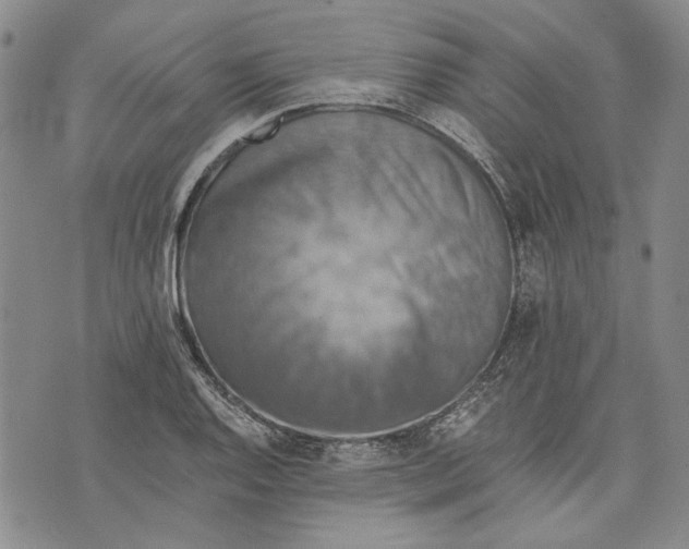 X0000075811128200610151423