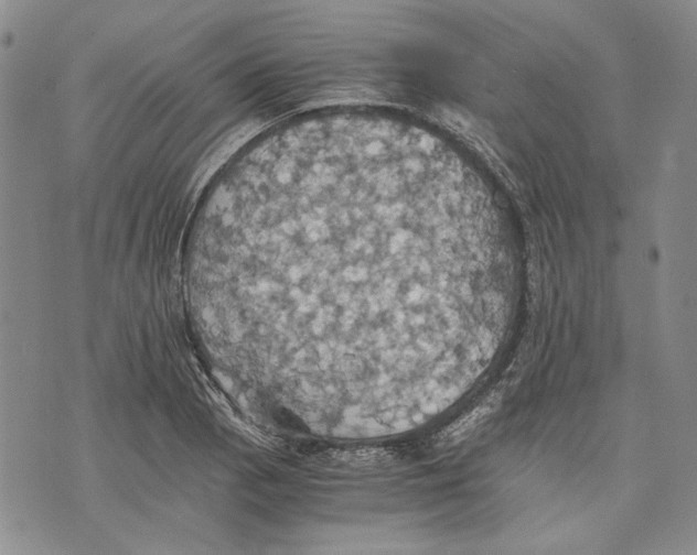 X0000075811129200610151423