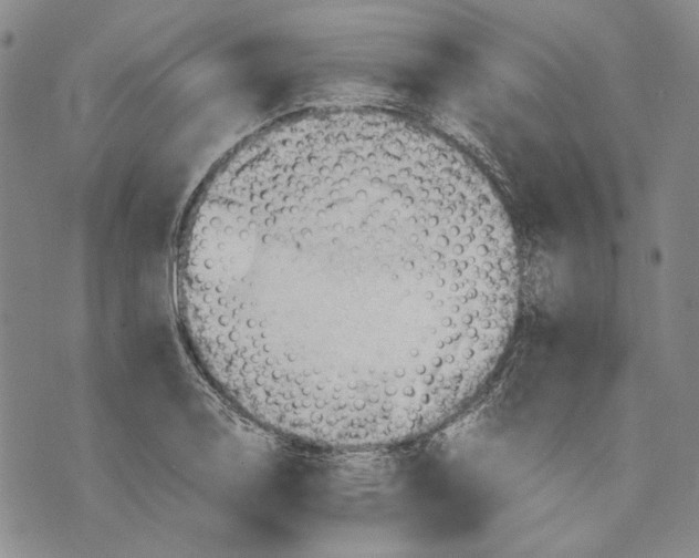 X0000075811130200610151423