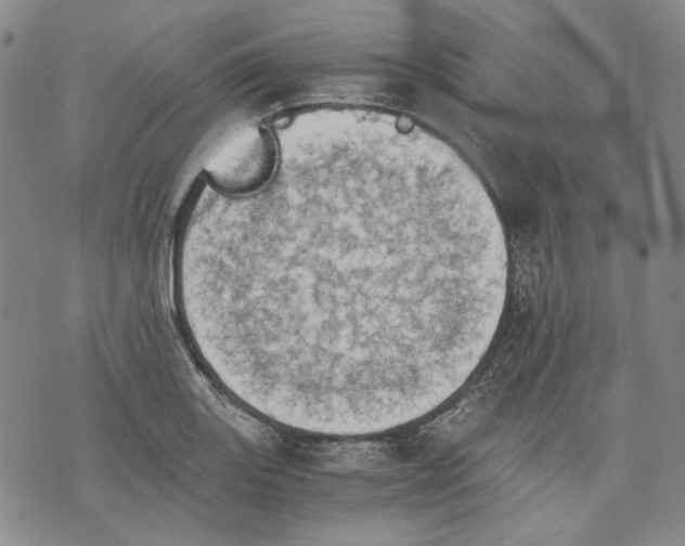 X0000075811131200610151423