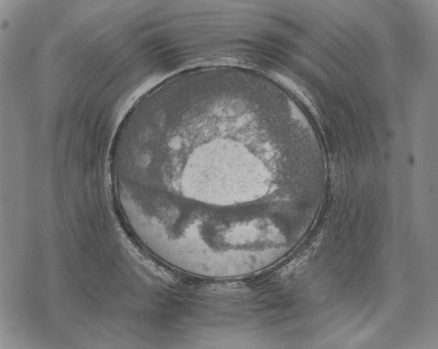 X0000075811133200610151423