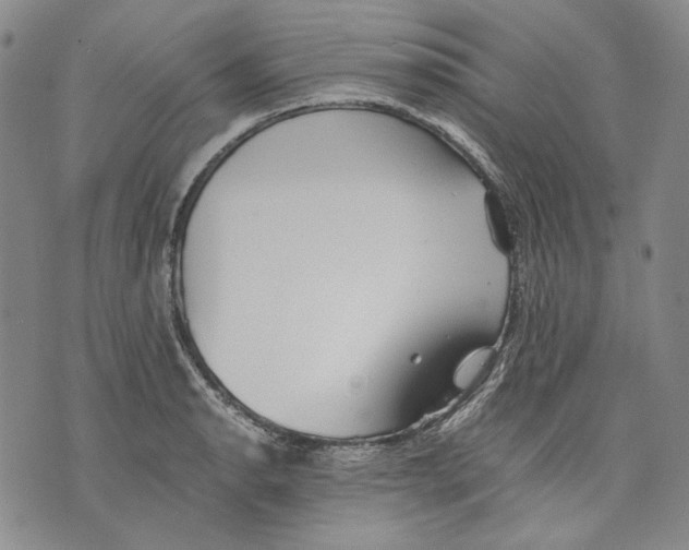 X0000075811134200610151423