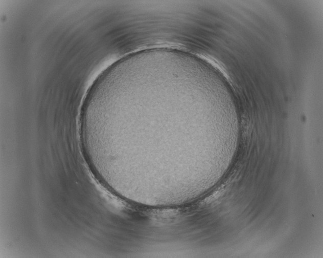 X0000075811135200610151423