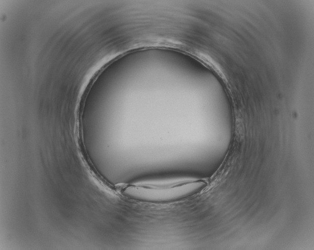 X0000075811136200610151423