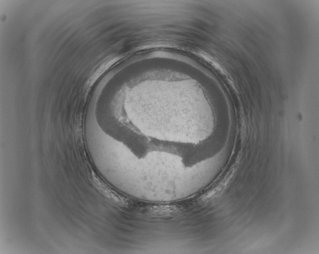 X0000075811137200610151423