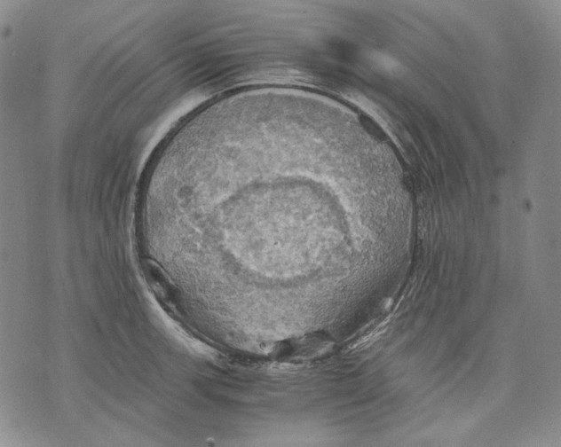 X0000075811139200610151423