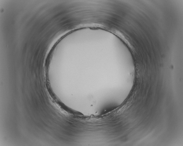 X0000075811140200610151423