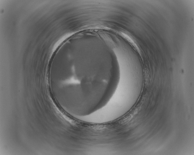 X0000075811141200610151423