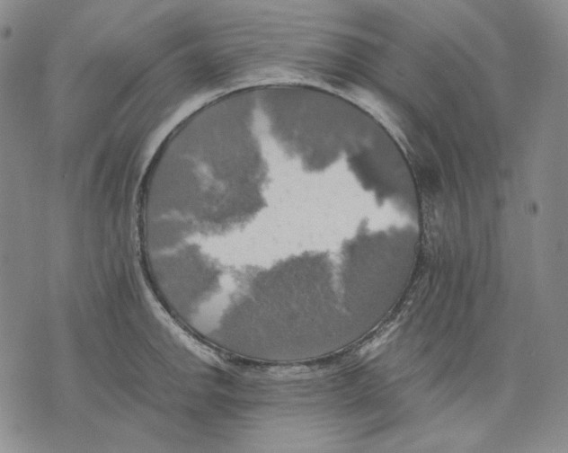 X0000075811142200610151423