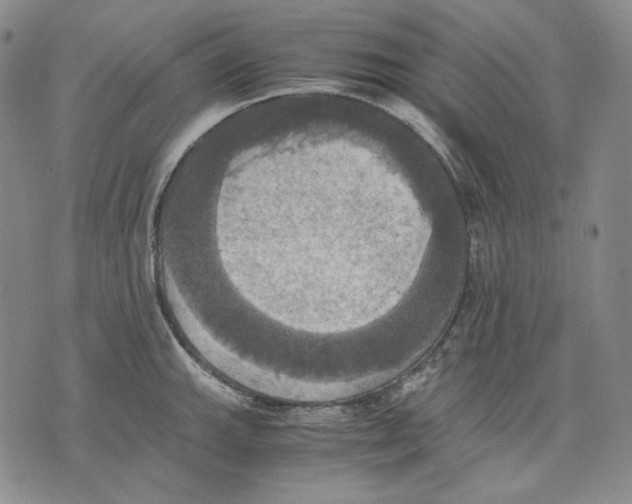 X0000075811143200610151423