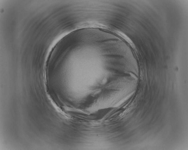 X0000075811144200610151423