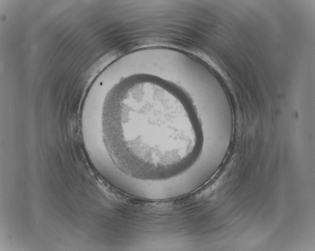 X0000075811145200610151423