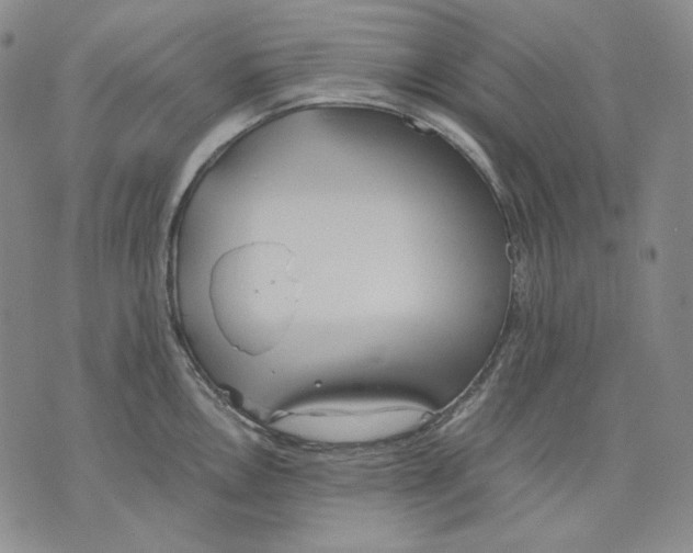 X0000075811146200610151423