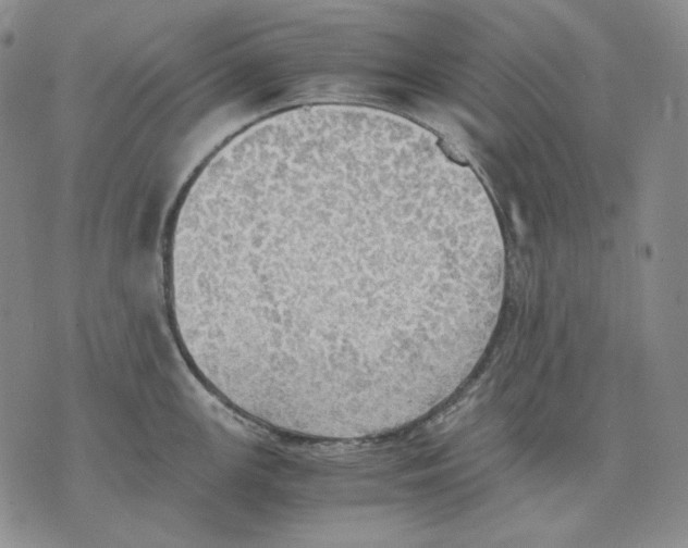 X0000075811147200610151423