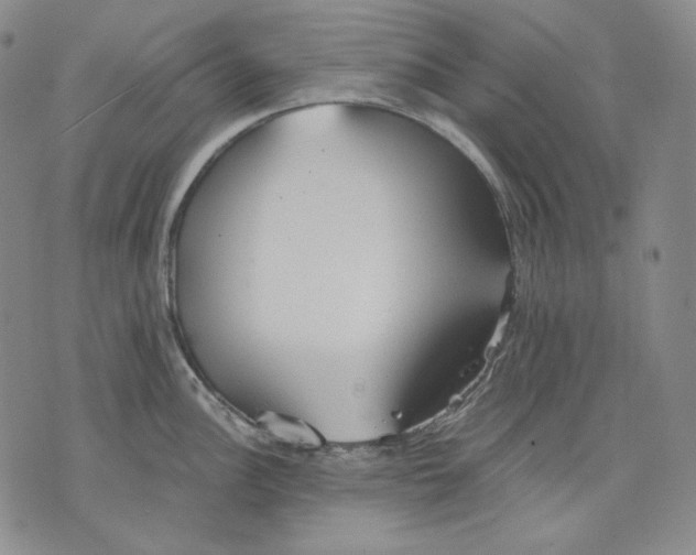 X0000075811148200610151423