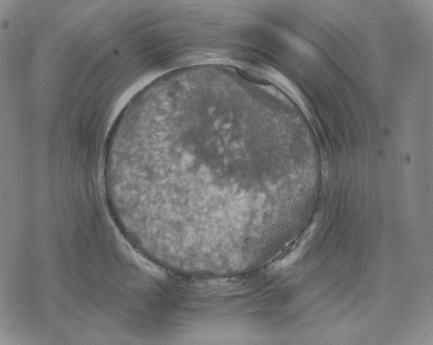 X0000075811149200610151423