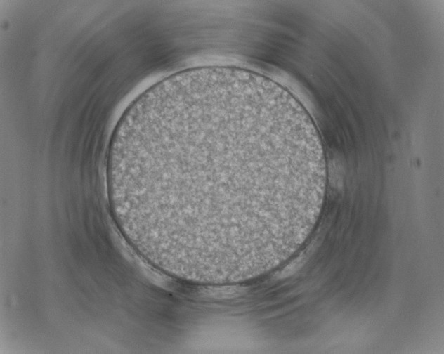 X0000075811150200610151423