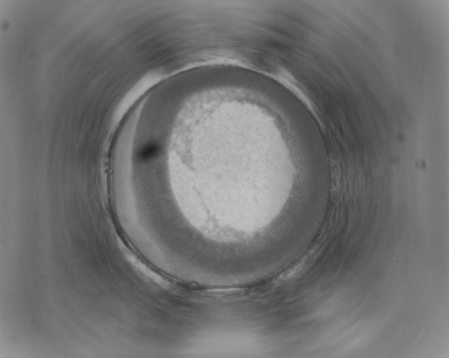 X0000075811151200610151423