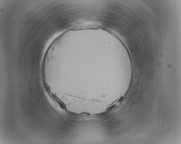 X0000075811152200610151423