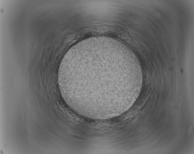 X0000075811153200610151423