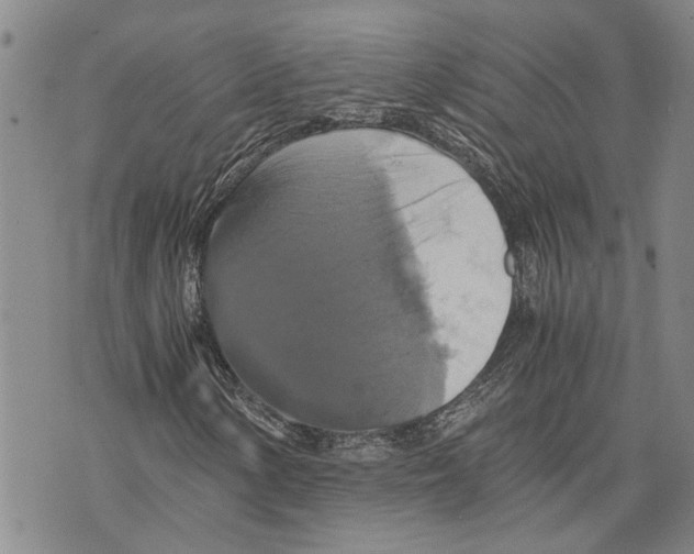 X0000075811154200610151423