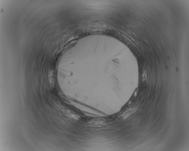 X0000075811156200610151423