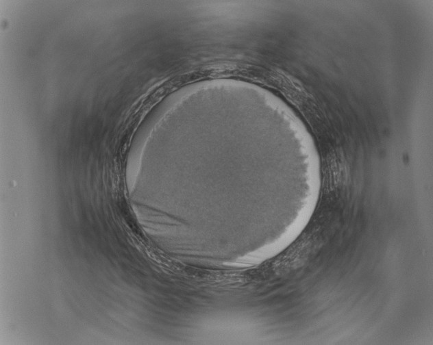 X0000075811158200610151422