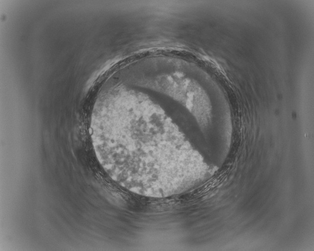 X0000075811159200610151422