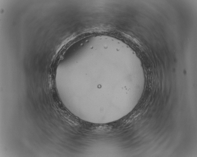 X0000075811160200610151422