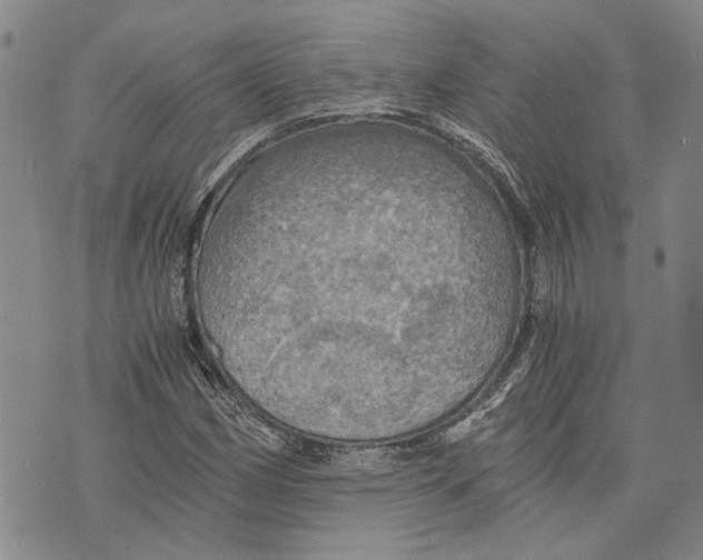 X0000075811162200610151422