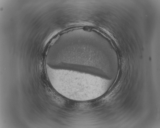 X0000075811163200610151422