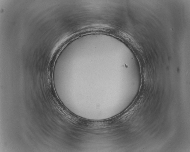 X0000075811164200610151422