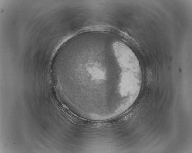 X0000075811166200610151422