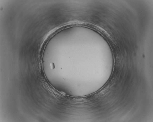 X0000075811168200610151422