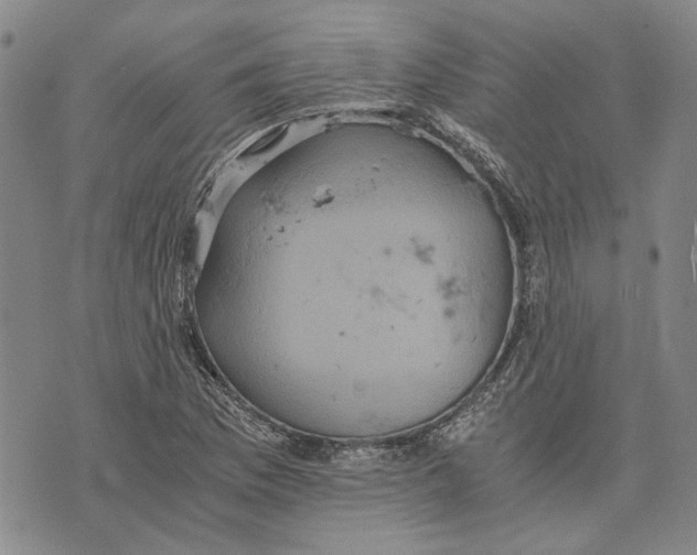 X0000075811169200610151422