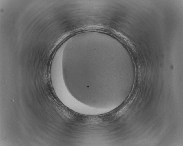 X0000075811170200610151422