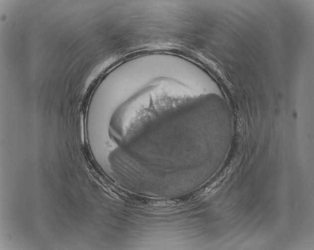 X0000075811171200610151422