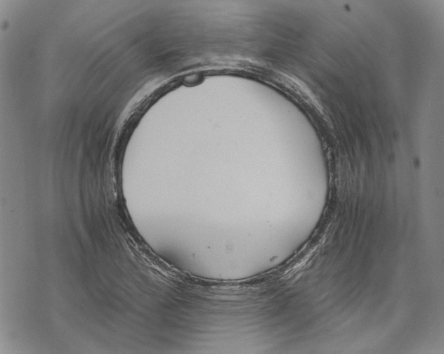 X0000075811172200610151422