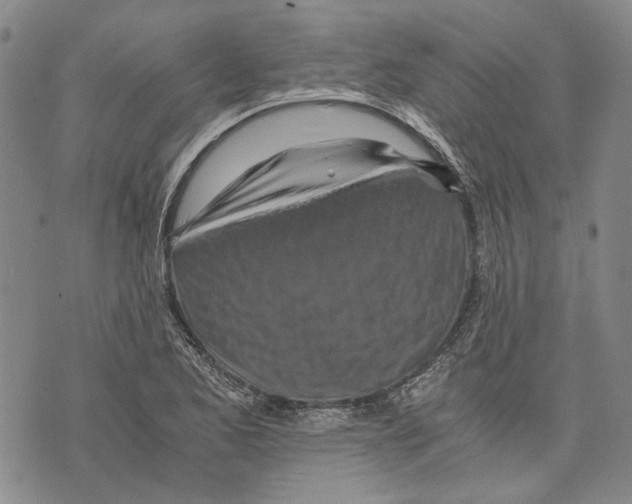 X0000075811173200610151422