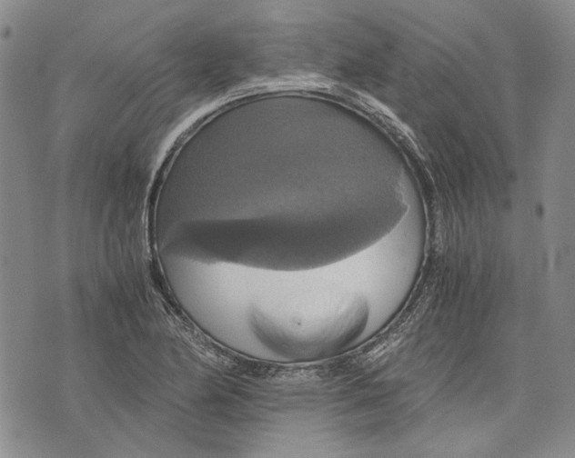 X0000075811174200610151422