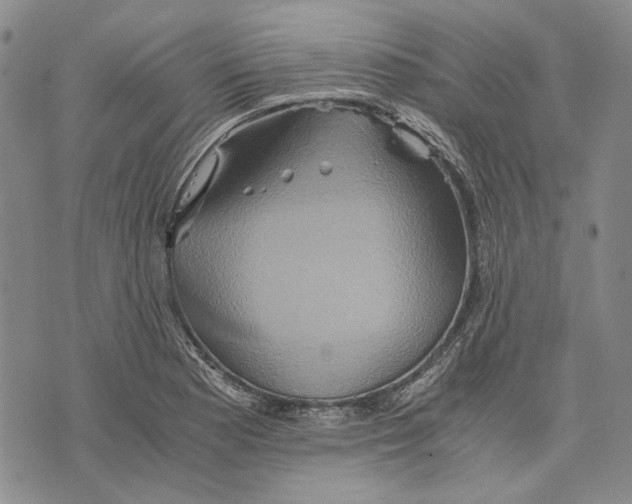 X0000075811177200610151422