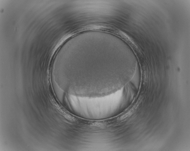 X0000075811178200610151422