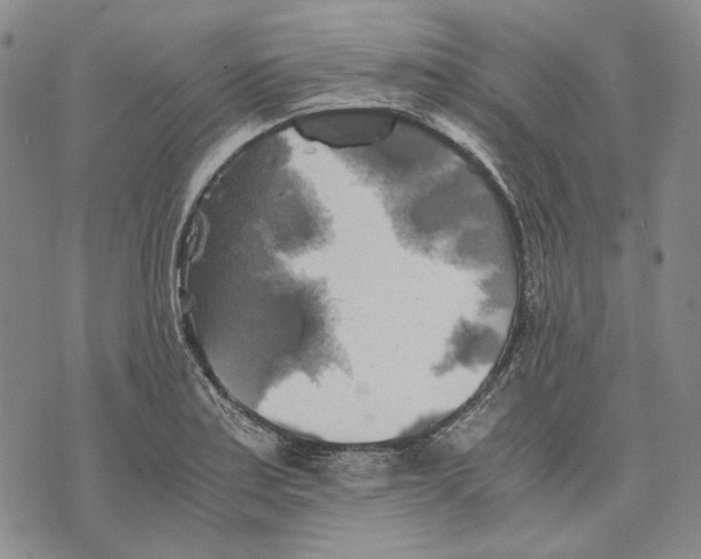 X0000075811179200610151422